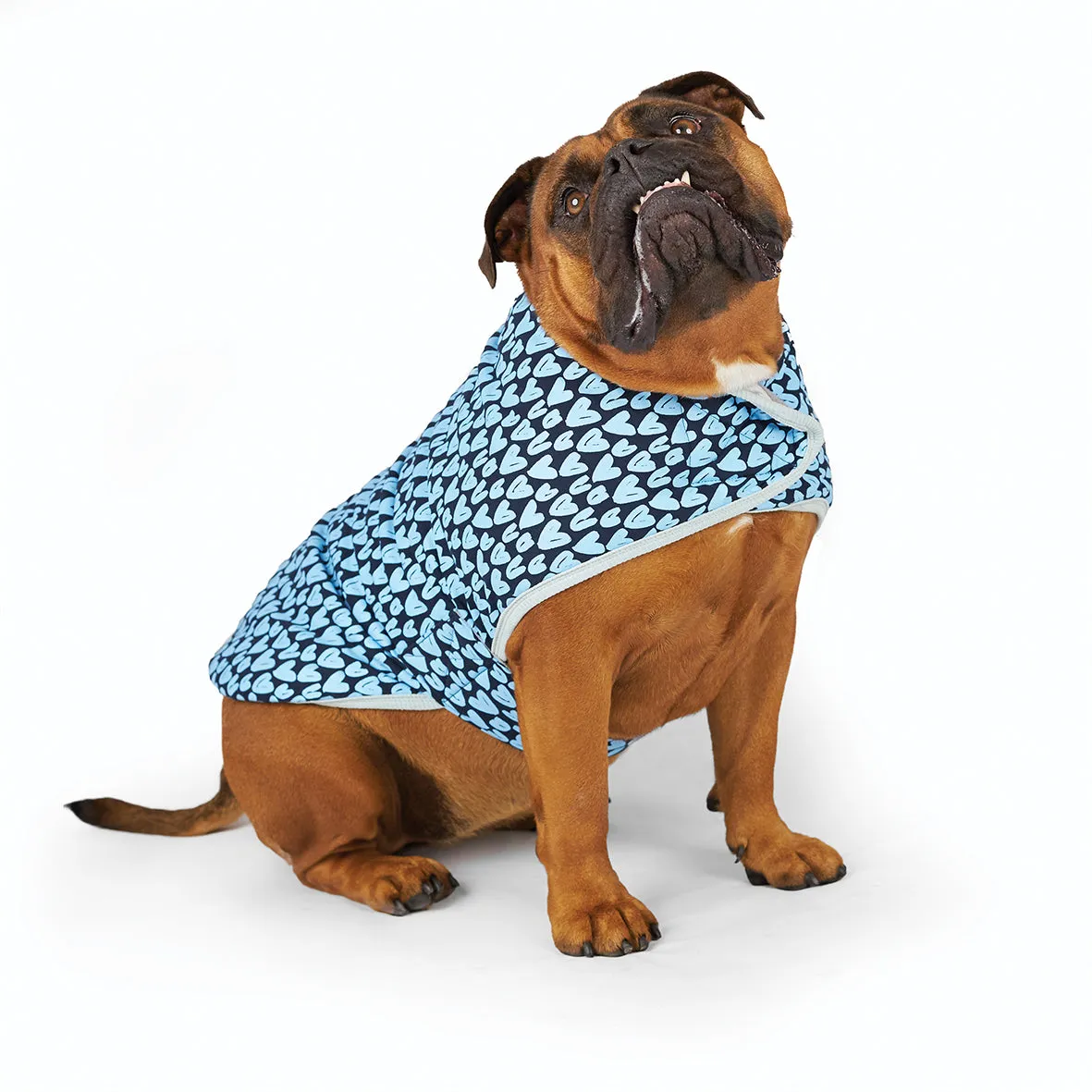 Blue Love Dog Snuggie