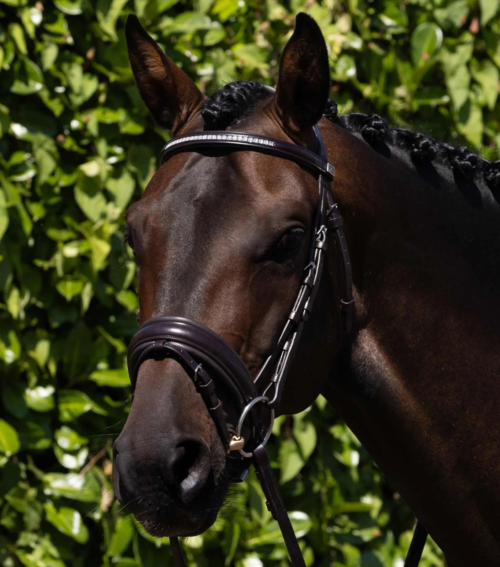 Castello Anatomical Bridle Brown