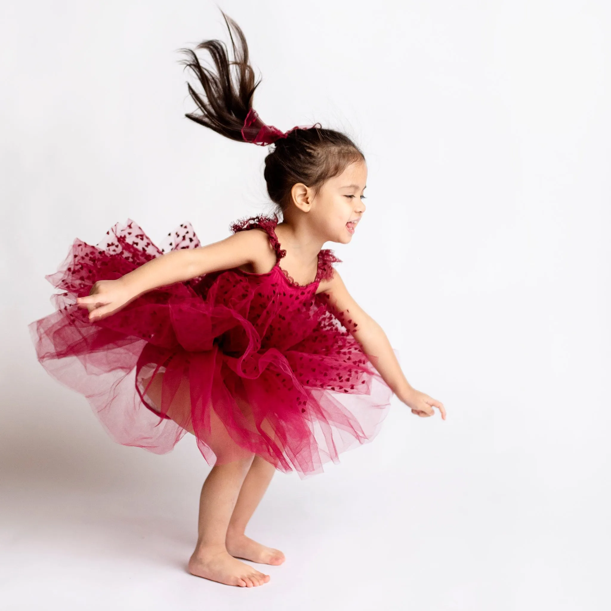 Crimson Heart Tulle Tutu Dress