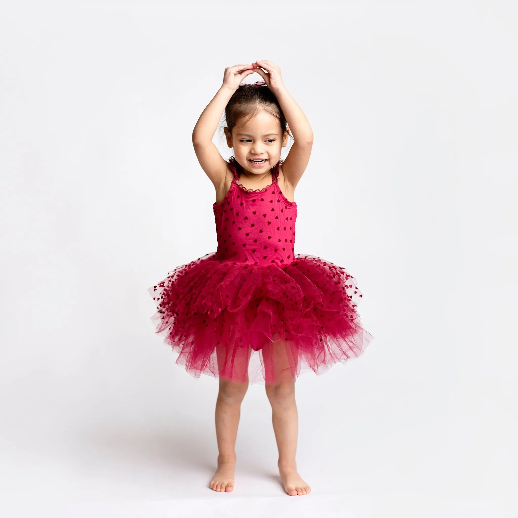 Crimson Heart Tulle Tutu Dress