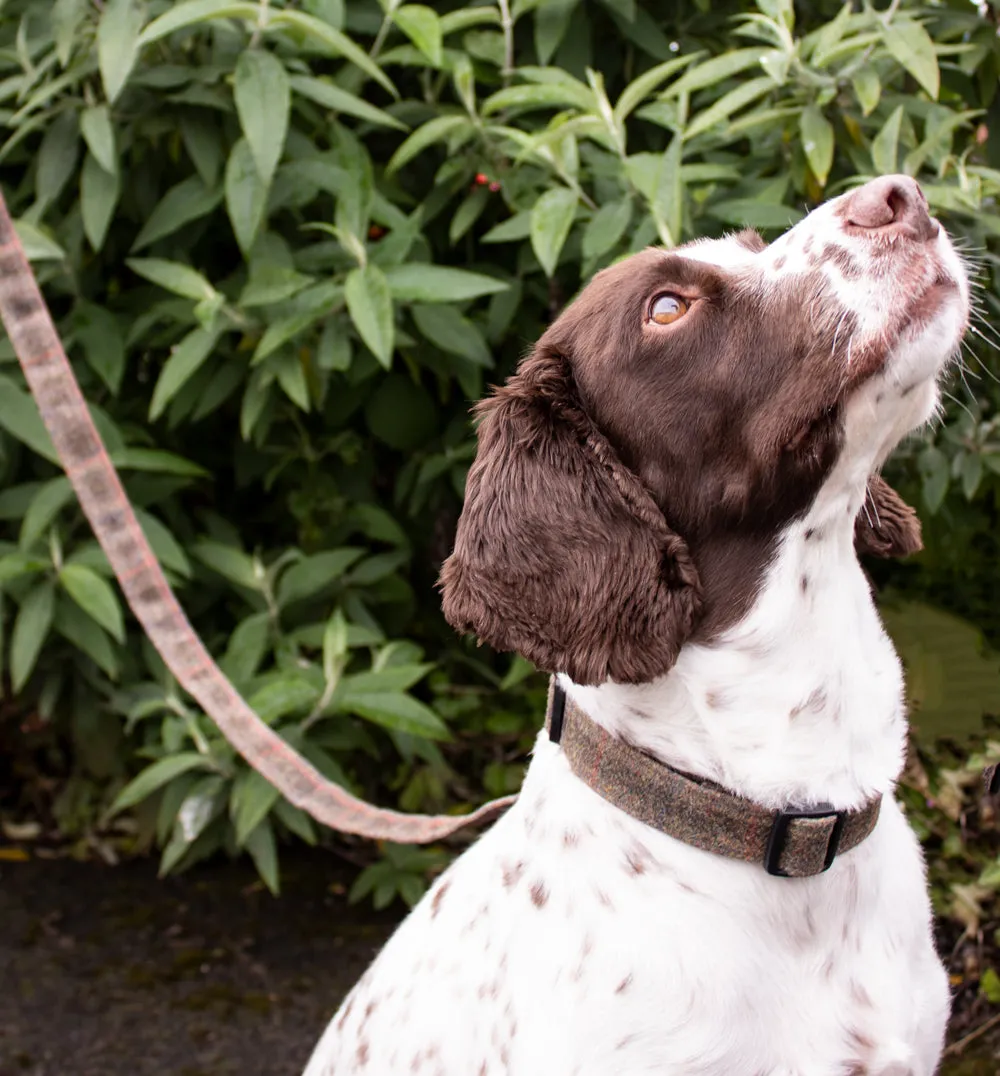 Dog Lead - Brown Waxed Tweed