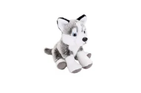 Husky Stuffed Animal - 12"