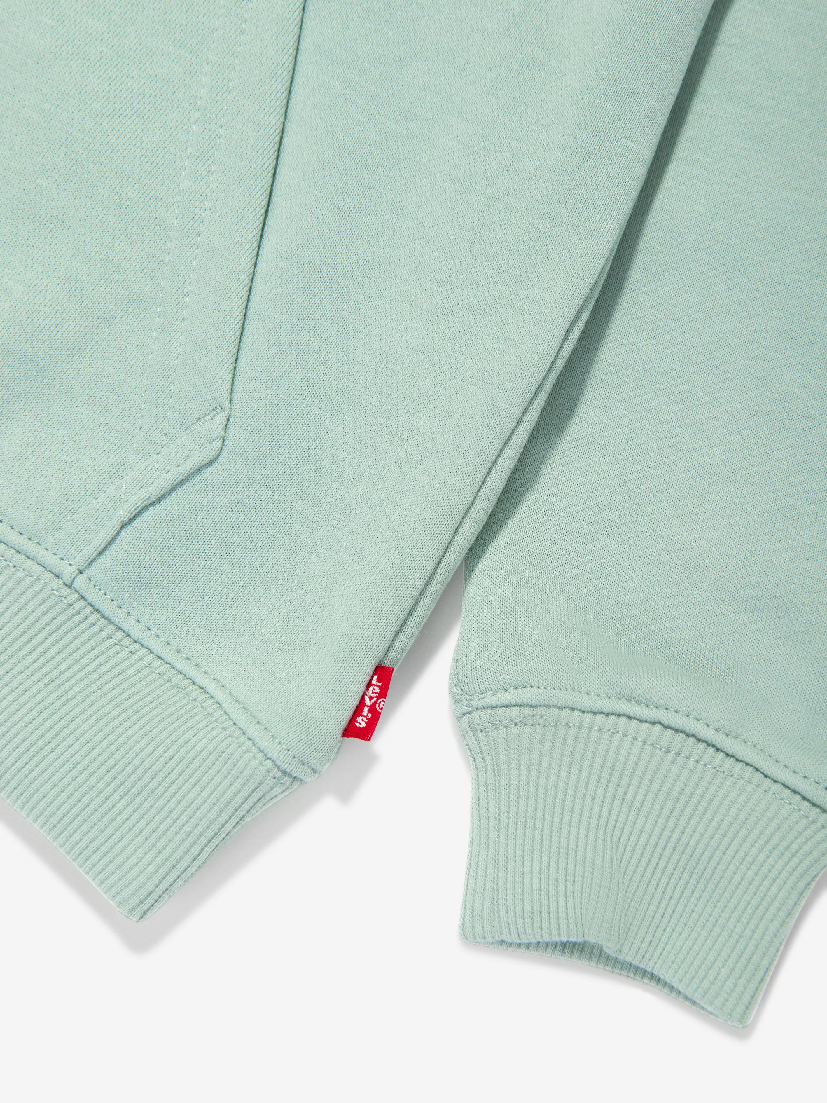 Levi's Boys Mini Batwing Hoodie in Green