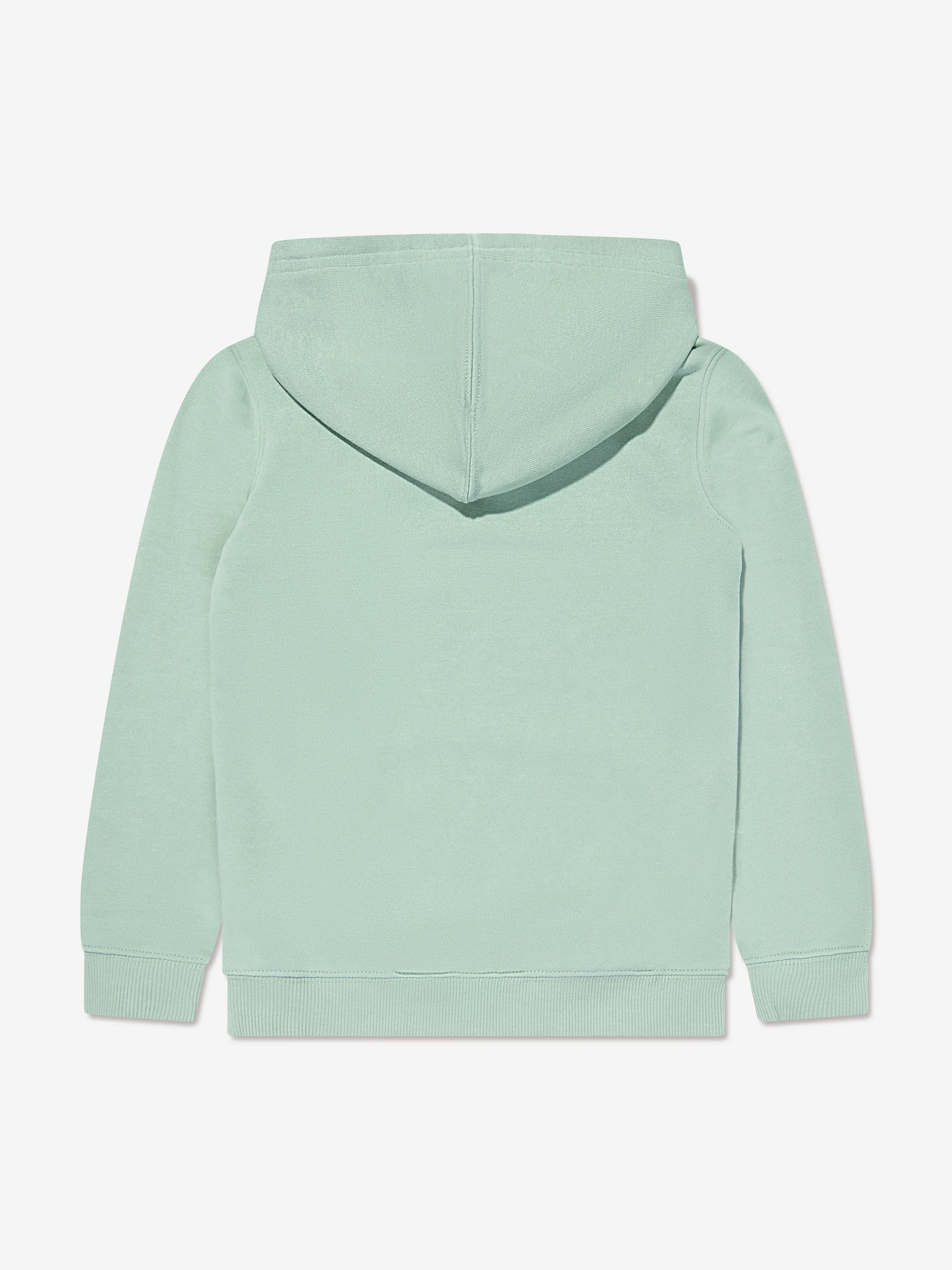 Levi's Boys Mini Batwing Hoodie in Green