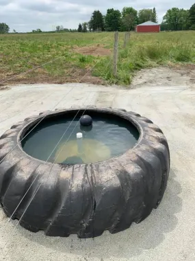 Recycled Tire Tank - 6'