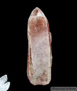 Scarlet Temple Rosetta Stone Starbary Lightning Strike Lemurian Crystal (RESERVED)