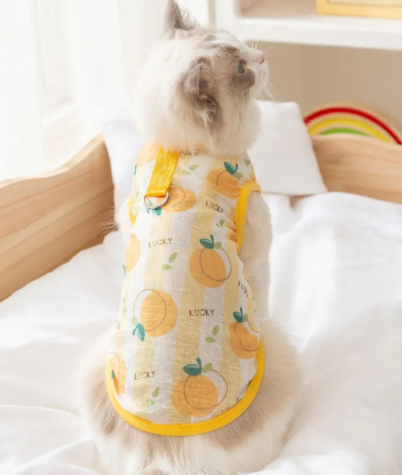 Summer cat breathable thin cute style full print pet Teddy Pomeranian two-legged vest hairless cat blue cat clothes