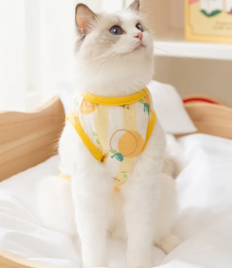 Summer cat breathable thin cute style full print pet Teddy Pomeranian two-legged vest hairless cat blue cat clothes