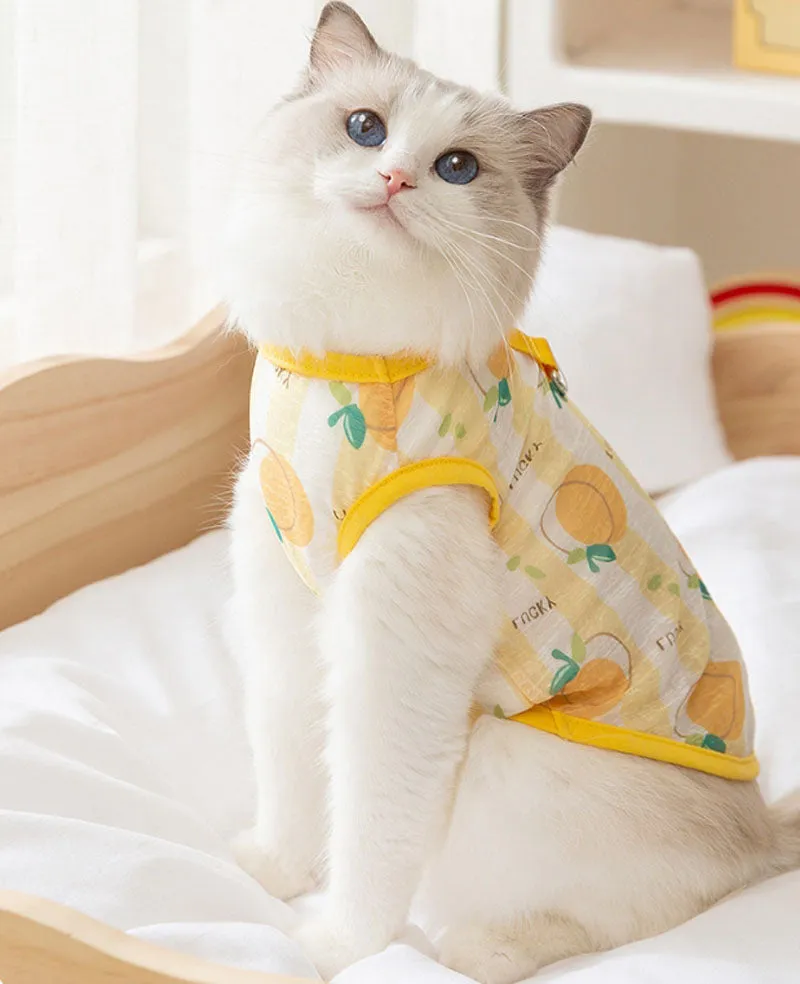 Summer cat breathable thin cute style full print pet Teddy Pomeranian two-legged vest hairless cat blue cat clothes